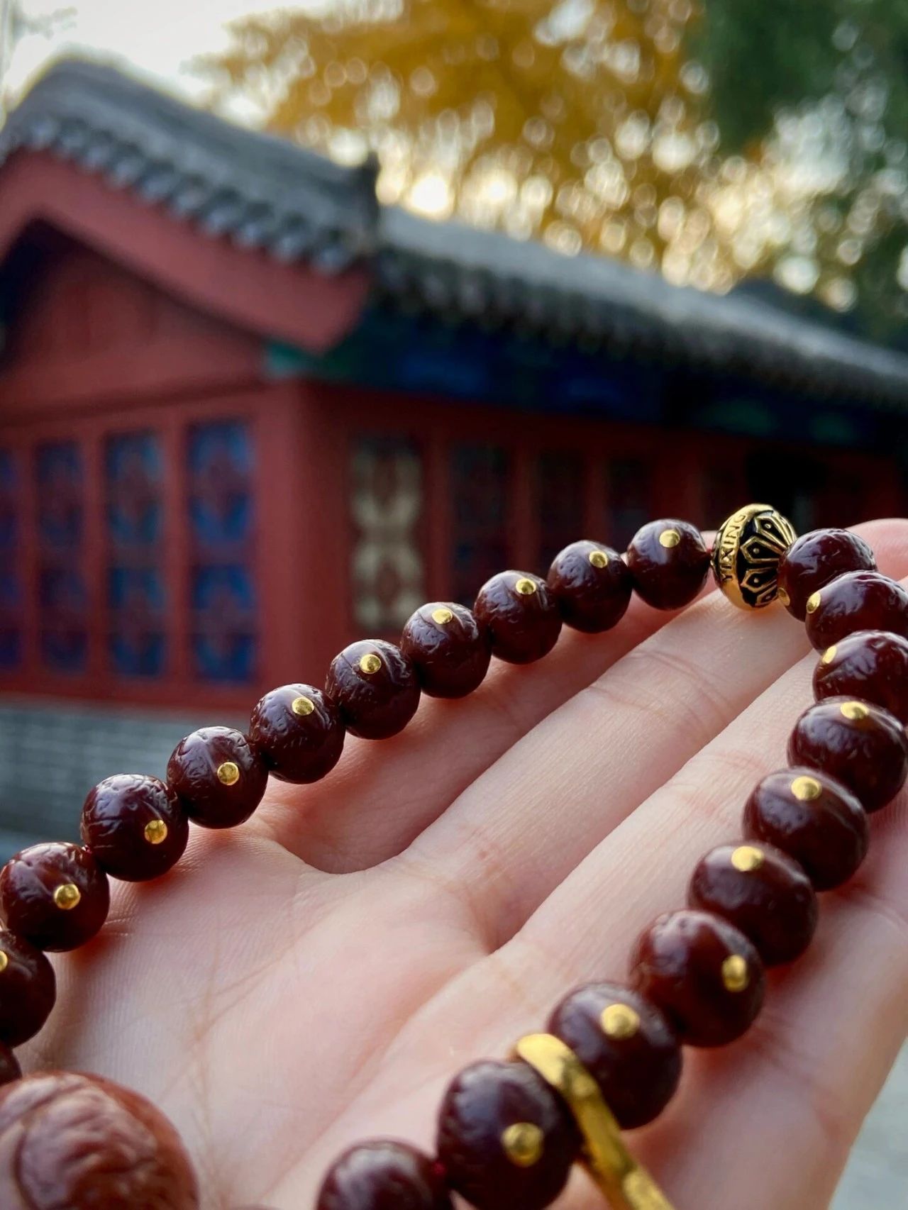 凤眼菩提，你必须要看的盘玩攻略，教你玩出“极品老凤眼”-顽以仙文玩
